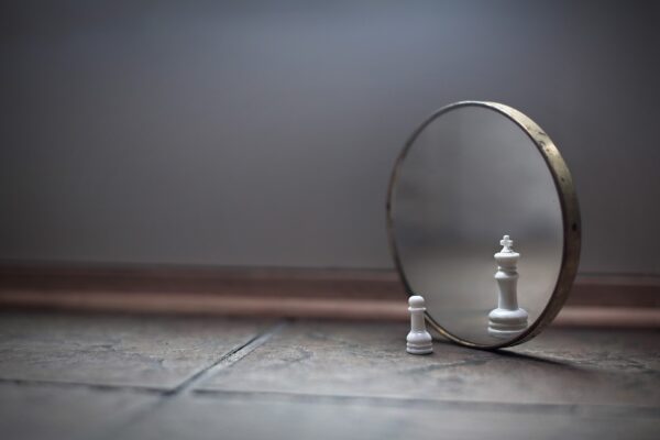 chess reflection image for scottshak's musing