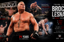 Brock Lesnar retires image
